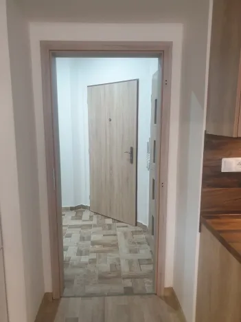 Pronájem bytu 2+kk, Plzeň - Jižní Předměstí, Vrchlického, 54 m2