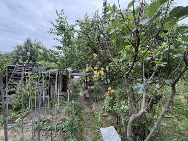 Pronájem bytu 1+1, Brno - Staré Brno, Schovaná, 41 m2