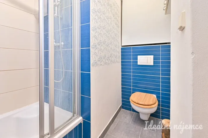 Pronájem bytu 1+1, Brno - Staré Brno, Schovaná, 50 m2