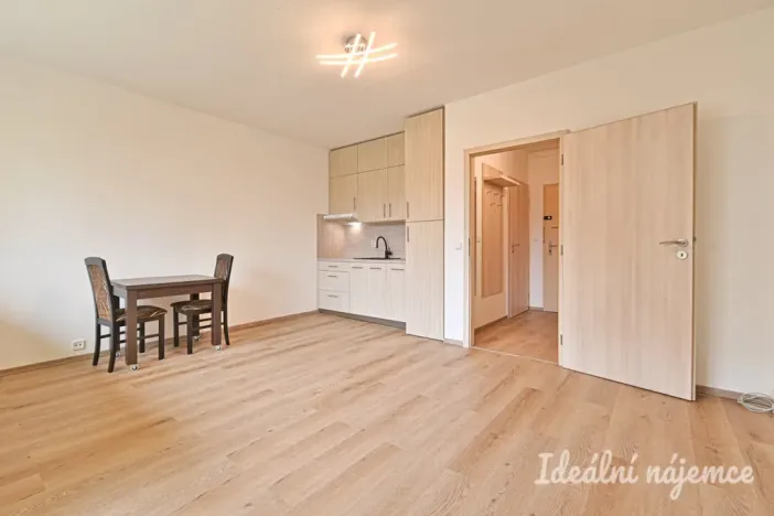 Pronájem bytu 1+kk, Brno, Moldavská, 30 m2