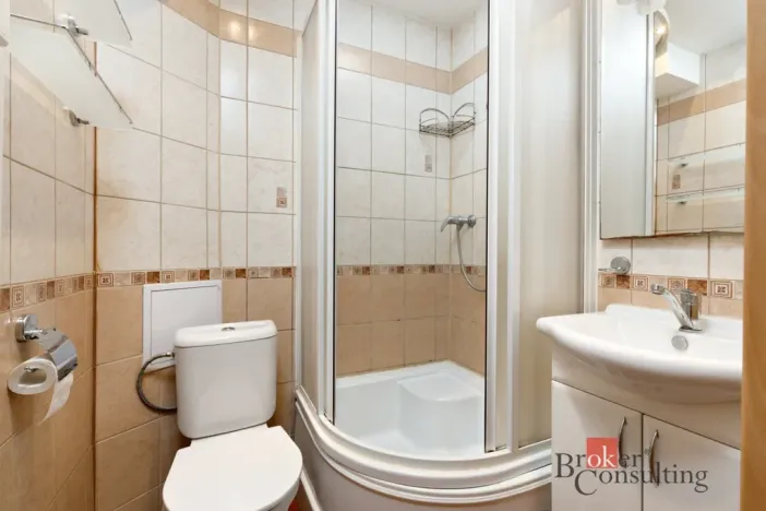 Pronájem bytu 1+1, Plzeň - Jižní Předměstí, Raisova, 30 m2