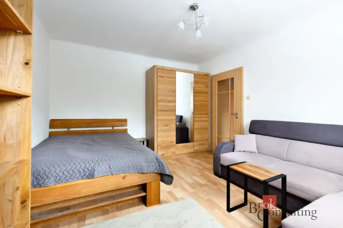 Pronájem bytu 1+1, Plzeň - Jižní Předměstí, Raisova, 30 m2