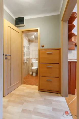 Pronájem bytu 1+1, Plzeň - Jižní Předměstí, Raisova, 30 m2