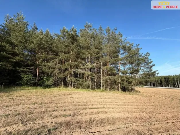 Prodej lesa, Háje, 4000 m2