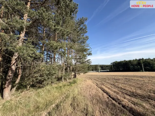 Prodej lesa, Háje, 4000 m2