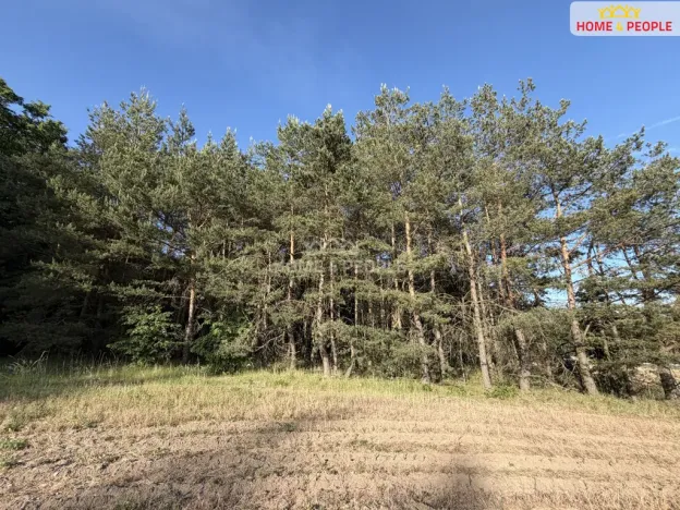 Prodej lesa, Háje, 4000 m2