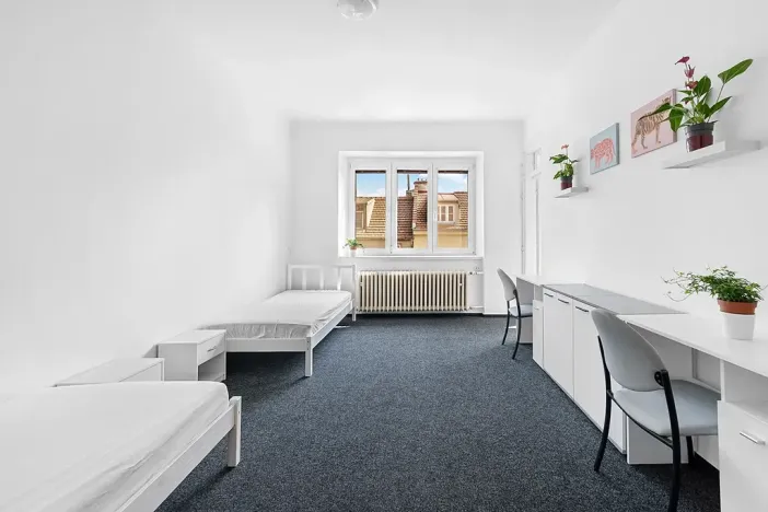 Pronájem - jiné, Brno, Jelínkova, 89 m2