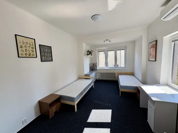 Pronájem - jiné, Brno, Jelínkova, 89 m2