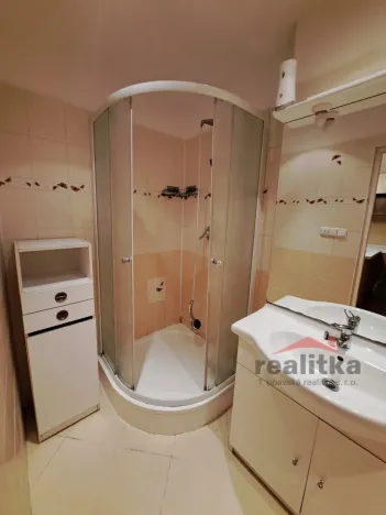 Pronájem bytu 1+1, Opava - Předměstí, Polní, 46 m2