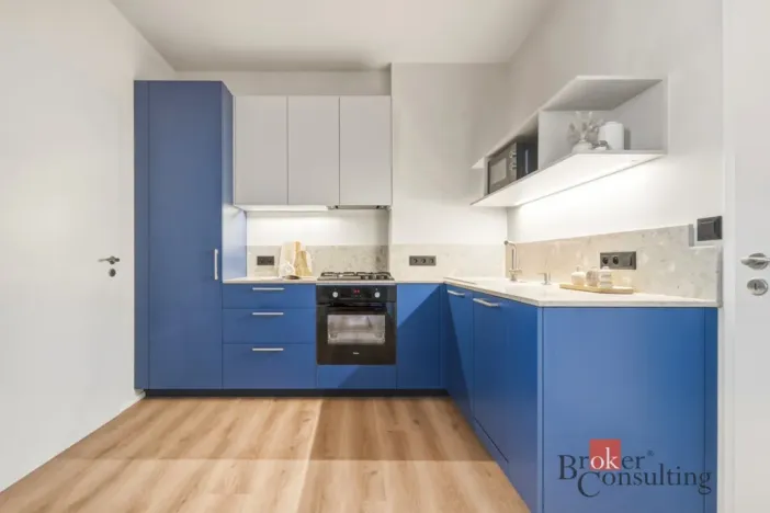 Prodej bytu 1+kk, Praha - Vinohrady, náměstí Jiřího z Lobkovic, 44 m2