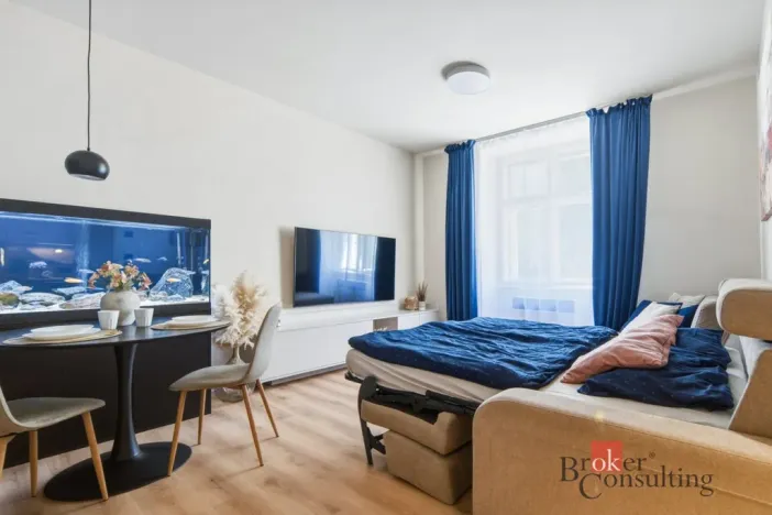 Prodej bytu 1+kk, Praha - Vinohrady, náměstí Jiřího z Lobkovic, 44 m2