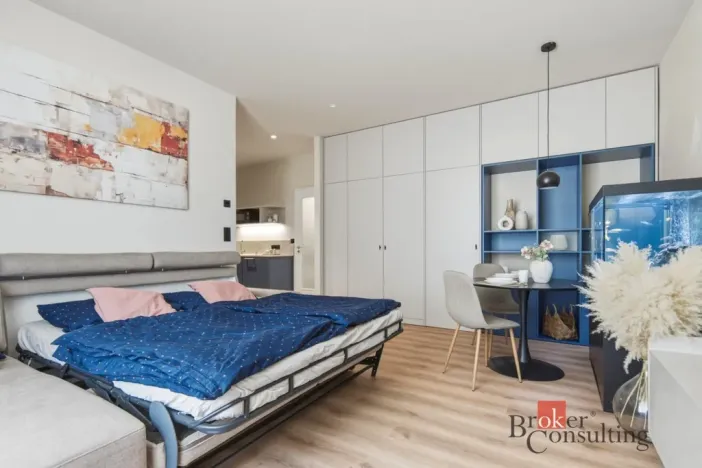 Prodej bytu 1+kk, Praha - Vinohrady, náměstí Jiřího z Lobkovic, 44 m2