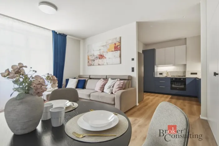 Prodej bytu 1+1, Praha - Vinohrady, náměstí Jiřího z Lobkovic, 44 m2