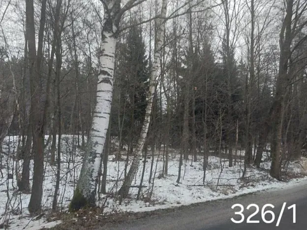 Prodej lesa, Dívčí Kopy, 1620 m2