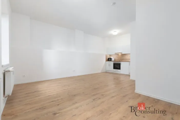 Prodej bytu 1+kk, Ostrava - Přívoz, Palackého, 33 m2