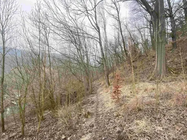 Dražba louky, Ryjice, 3310 m2