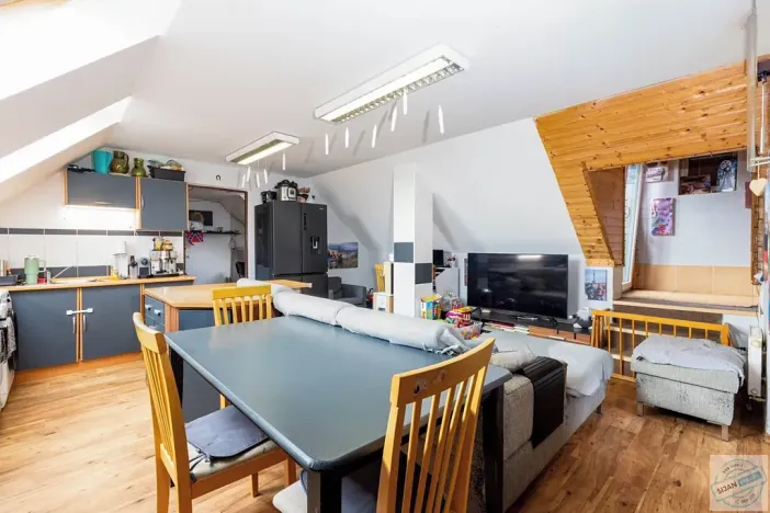 Prodej rodinného domu, Opava, Slezská, 275 m2