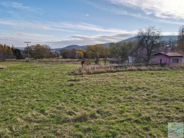 Prodej pozemku pro bydlení, Město Albrechtice, 3681 m2