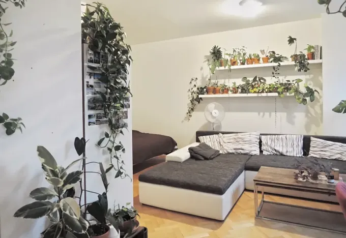 Pronájem bytu 1+kk, Brno, Příční, 42 m2