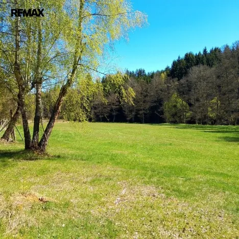 Prodej chaty, Červená Řečice - Těchoraz, 46 m2