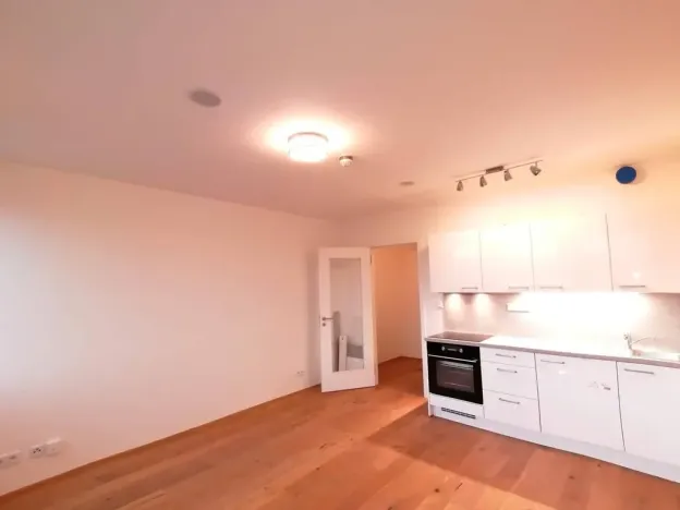 Pronájem bytu 1+kk, Praha - Vinohrady, Perucká, 27 m2