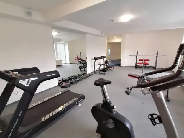 Pronájem bytu 1+kk, Praha - Vinohrady, Perucká, 27 m2
