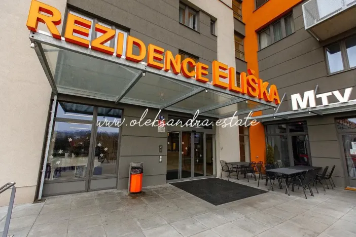 Pronájem bytu 1+kk, Praha - Vysočany, Freyova, 32 m2