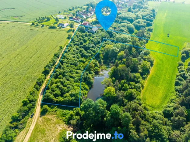Prodej pozemku pro bydlení, Písečné - Marketa, 16909 m2