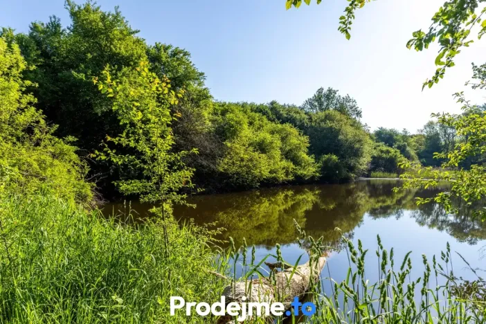 Prodej pozemku pro bydlení, Písečné - Marketa, 16909 m2