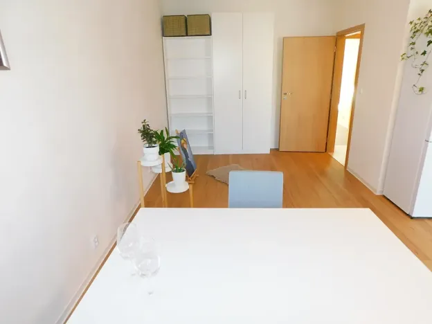 Pronájem bytu 2+kk, Plzeň, Hřímalého, 75 m2