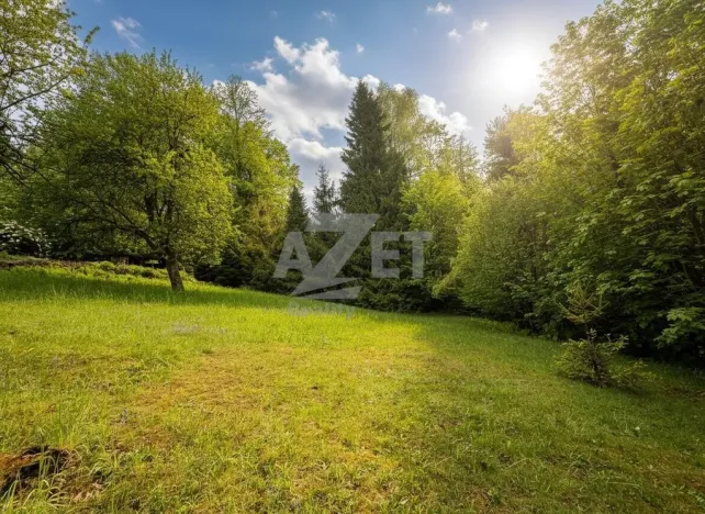 Prodej pozemku pro bydlení, Čeladná, 2937 m2