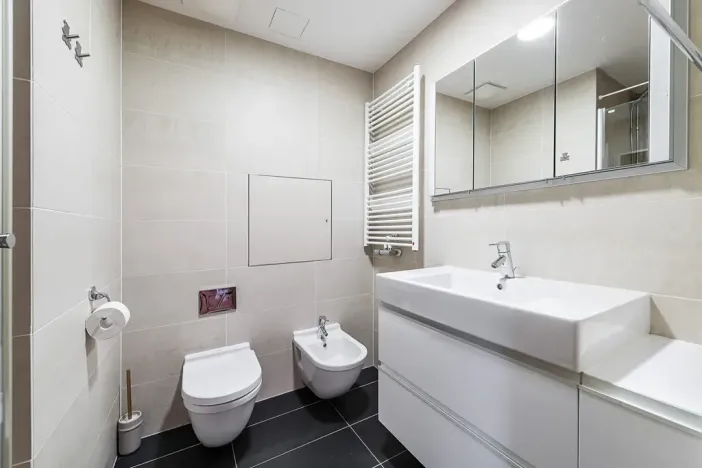 Prodej bytu 3+kk, Praha - Žižkov, Pitterova, 87 m2