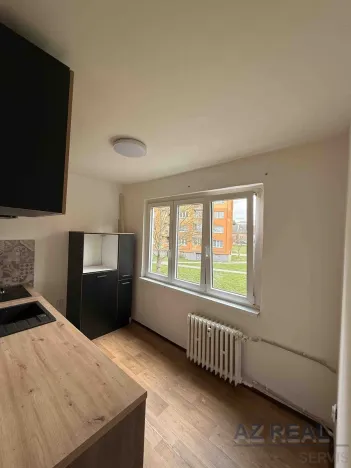 Pronájem bytu 2+1, Bílina, M. Švabinského, 53 m2