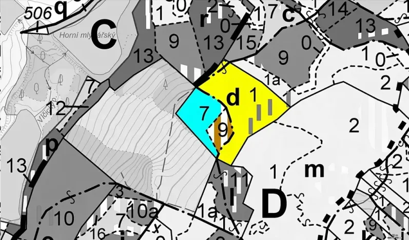 Prodej lesa, Strmilov, 11833 m2