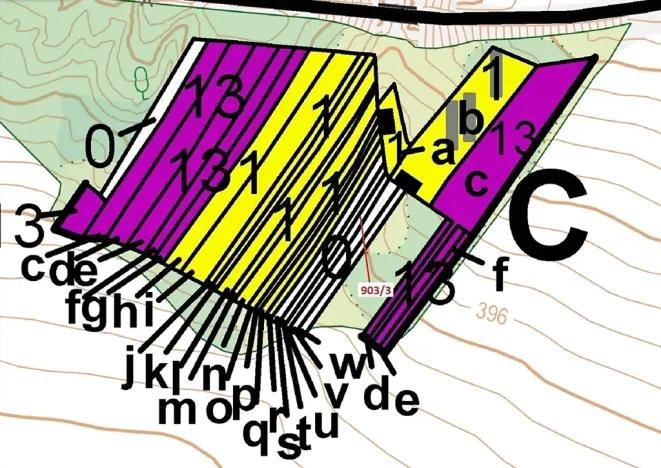 Dražba lesa, Březník, 234 m2