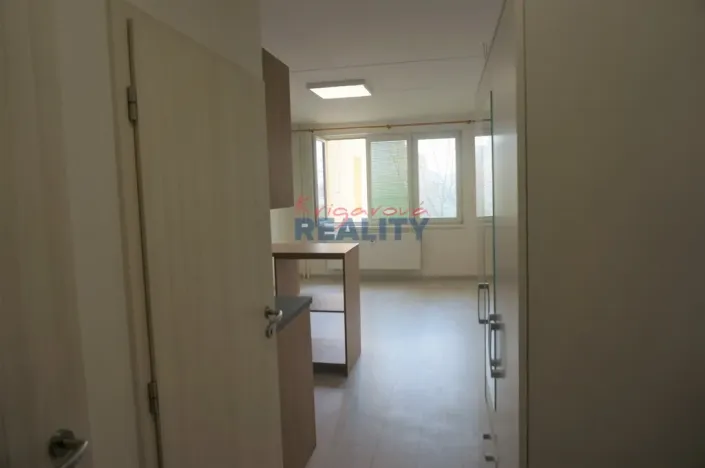 Pronájem bytu 1+kk, České Budějovice - České Budějovice 2, Labská, 27 m2