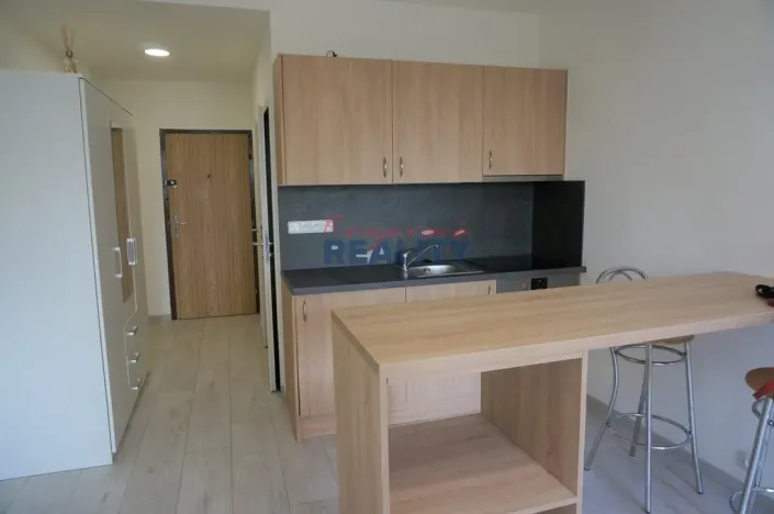 Pronájem bytu 1+kk, České Budějovice - České Budějovice 2, Labská, 27 m2