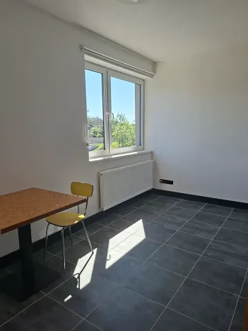 Pronájem bytu 1+kk, Praha, Pod altánem, 33 m2