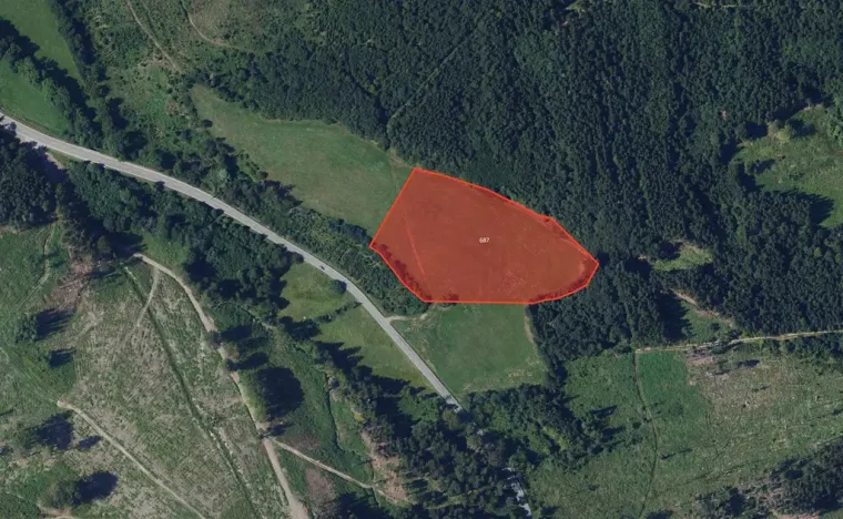 Prodej louky, Valchov, 34831 m2