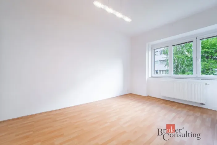 Prodej bytu 2+kk, Brno - Žabovřesky, Pod kaštany, 48 m2