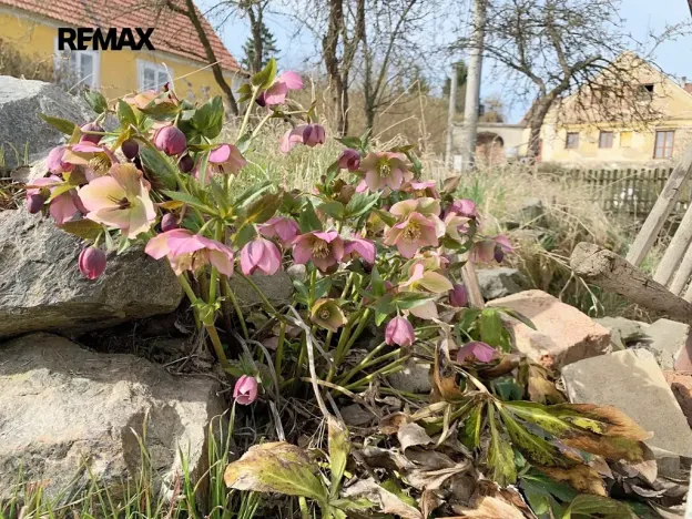 Prodej rodinného domu, Velká Buková, 87 m2