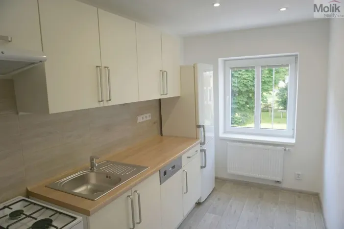 Pronájem bytu 3+1, Litvínov - Horní Litvínov, Halasova, 74 m2