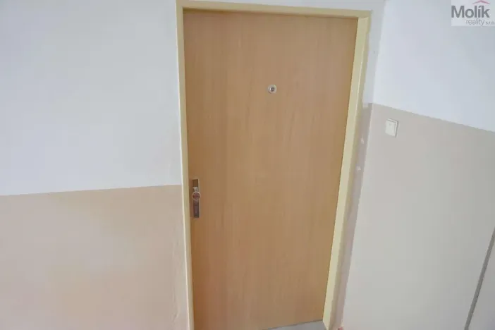 Pronájem bytu 3+1, Litvínov - Horní Litvínov, Halasova, 74 m2