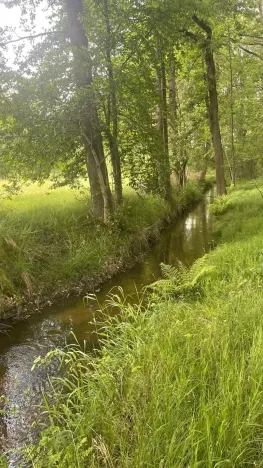 Prodej rybníku, Chlum u Třeboně - Žíteč, 130000 m2