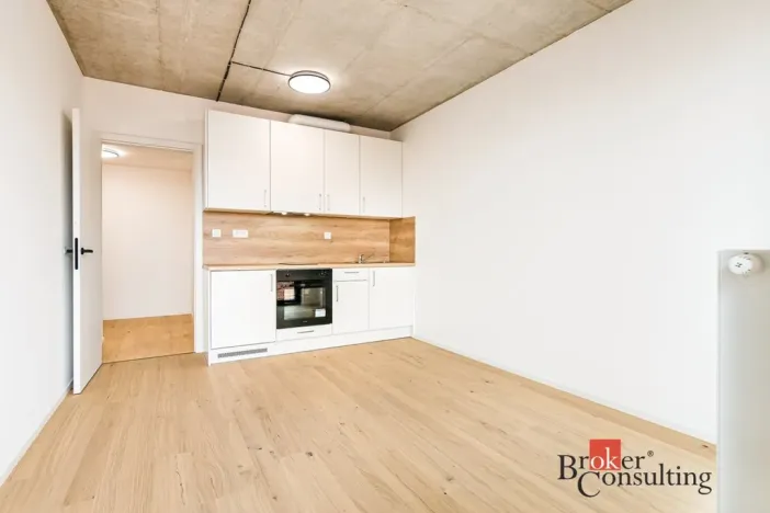 Pronájem bytu 1+kk, Brno, Bratislavská, 26 m2