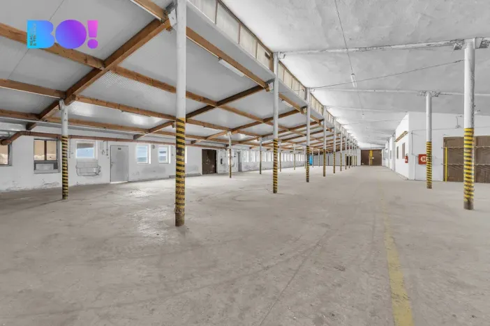 Pronájem výrobních prostor, Morašice, 2657 m2