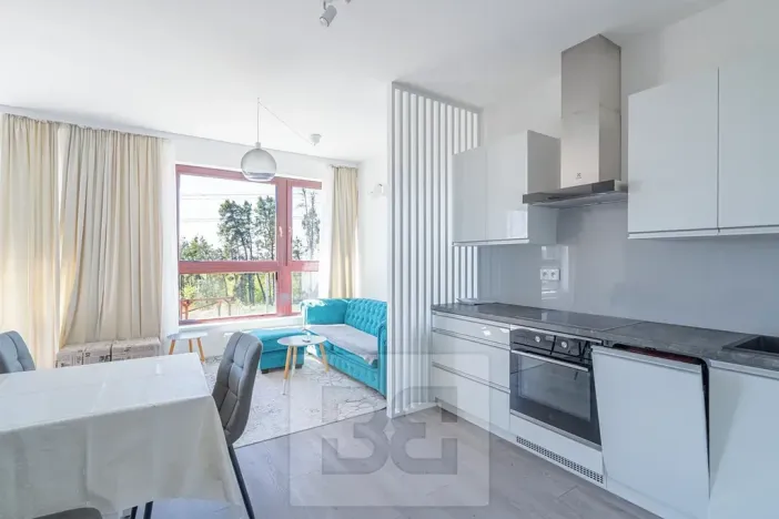 Pronájem bytu 1+kk, Beroun, Na Veselou, 44 m2