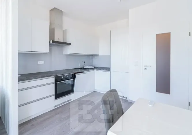 Pronájem bytu 1+kk, Beroun, Na Veselou, 44 m2
