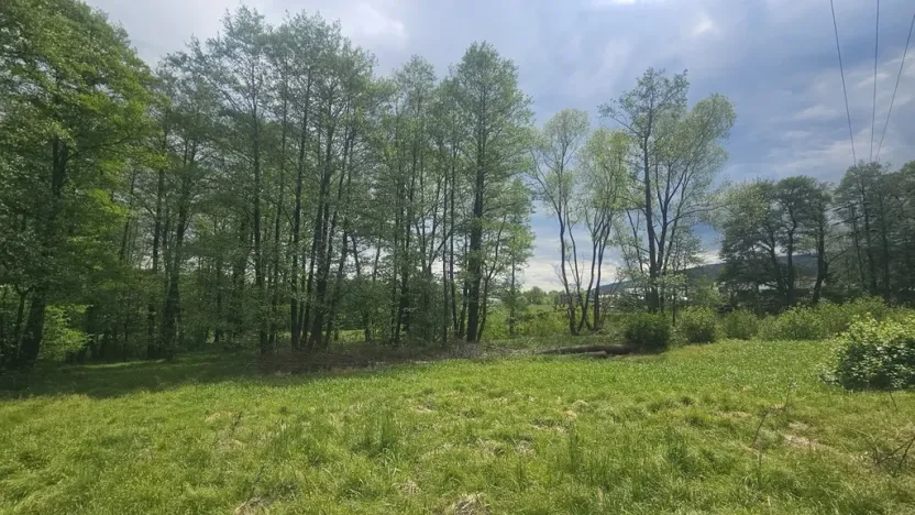 Prodej pozemku, Liberec - Liberec XXIII-Doubí, Malodoubská, 9589 m2