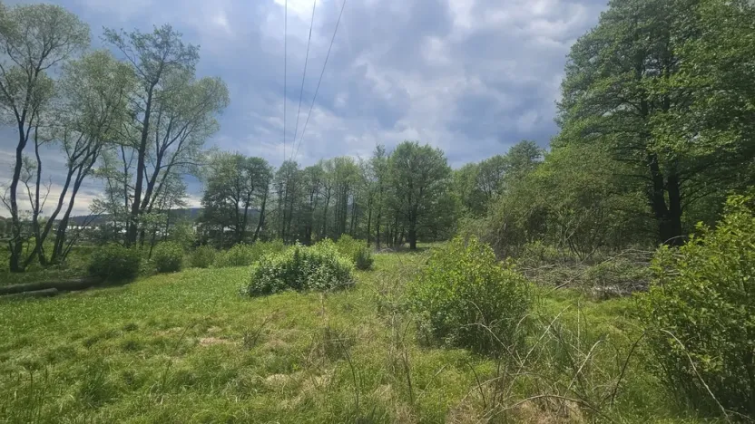 Prodej pozemku, Liberec - Liberec XXIII-Doubí, Malodoubská, 9589 m2